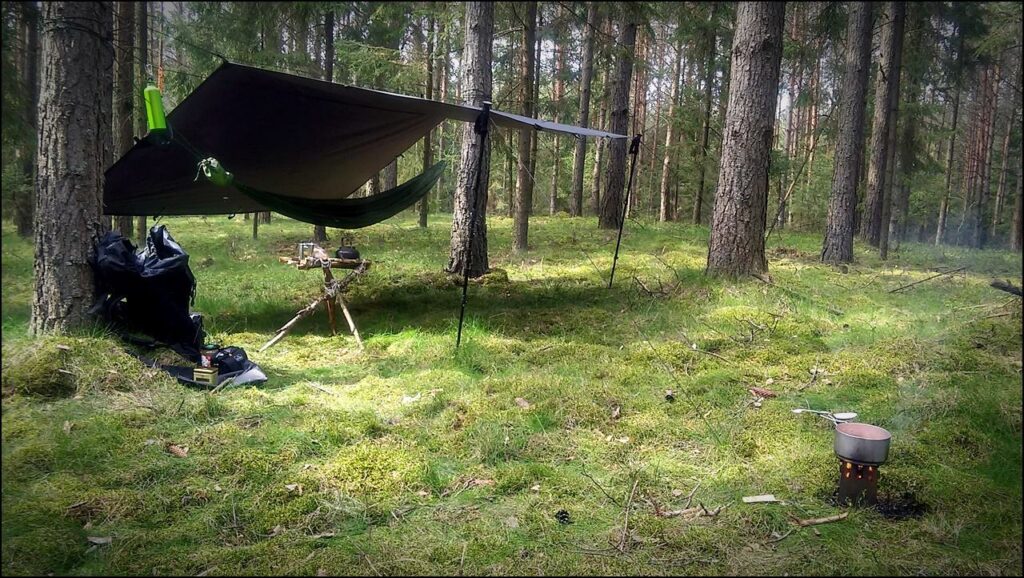 Obóz w lesie